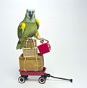 http://cdn6.bigcommerce.com/r-b99d97b0aae9cde0306565d8de6f047a25afdd8a/themes/Rise/images/howship.jpg